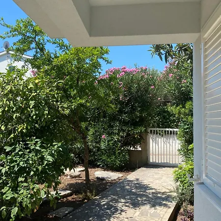 Dalmat House 3*