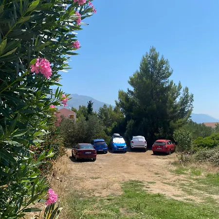 Bed & Breakfast Dalmat House