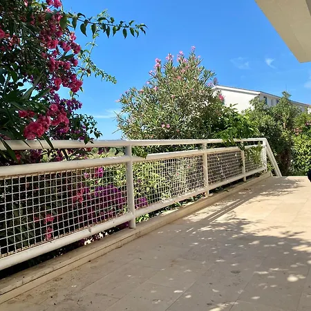 Dalmat House 3* 奥瑞比克