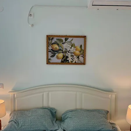 Bed & Breakfast Dalmat House 3*